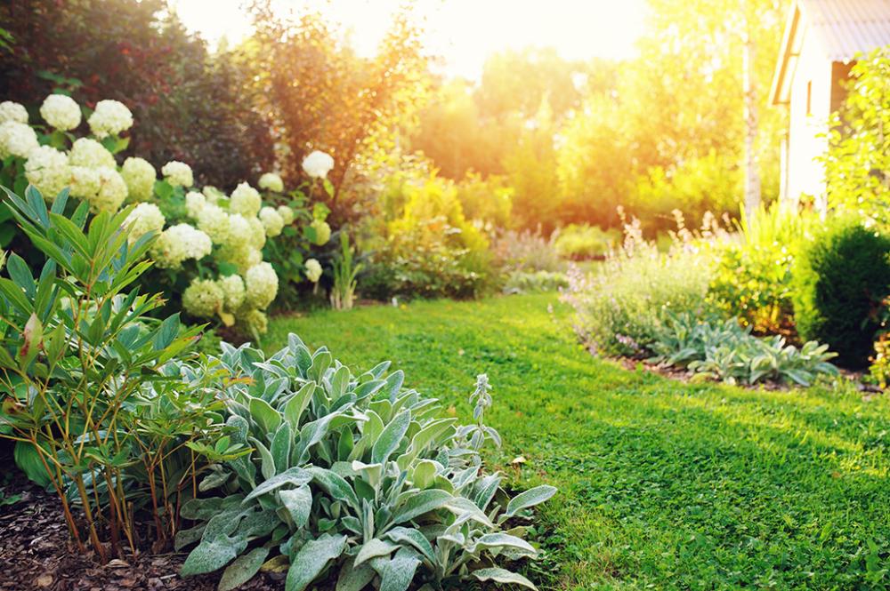 mon-multi-services-jardin